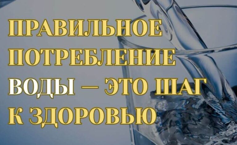 Правильное потребление воды — это шаг к здоровью